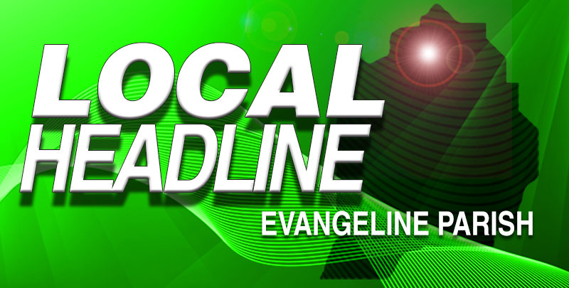 Local Headline
