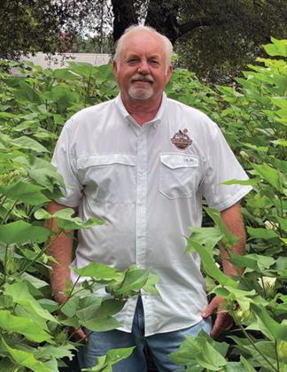 Jerry Hale, a Breaux Bridge resident and former guest of the Rotary Club of Ville Platte, stands in his field of brown cotton. (Photo courtesy of Muse Marketing Group)