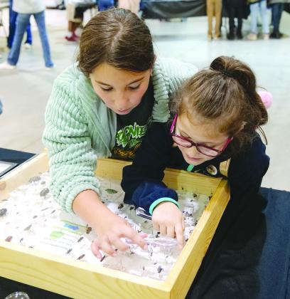 Two students from Chataignier Elementary School use a magnifying lens to examine insects at the LSU AgMagic Cenla event held at the State Evacuation Shelter Nov. 15 and 16. The students toured numerous stations highlighting agriculture, nutrition and health. (Photo by Craig Gautreaux/LSU AgCenter)