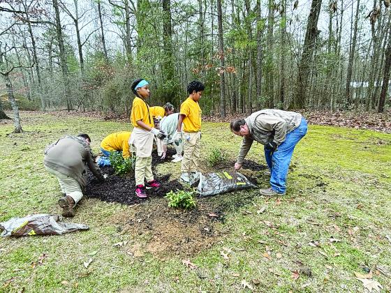 Rotarian Wayne Vidrine (right) assists students from Evangeline Reimagine Academy with planting azaleas at Chicot State Park. (Gazette photo by Heather Bogard)