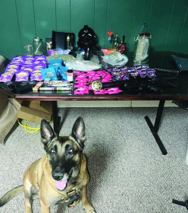 K-9 Diego is pictured with packages THC Gummies and other items seized in connection with recent arrests.  (Photo courtesy of Evangeline Parish Sheriff’s Office)