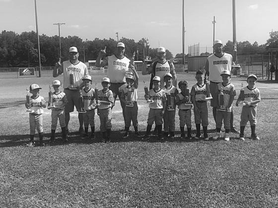  The Mamou Dixie Youth T-Ball All Stars placed first in the sub-district tournament. Team members are Grayson Perron, Japheth Spears, Tucker Ardoin, Emmett Christ, Kohen Matthews, Paxton Ashford, Levi Fontenot, Kalem Fontenot, Jayden Willis, Colton Young, and Waylon Thibodeaux. Coaches are Hunter Christ, Scott Young, Scott Thibodeaux, and Shem Spears. 