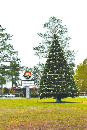 The 31-foot tall Leyland Cypress is decorated for Christmas. (Submitted photo)