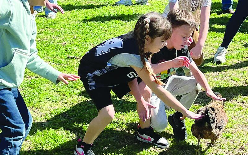 Youngsters as they participate in the Little Courir Chicken Chase as part of the inaugural Bastrop, Texas, Mardi Gras celebration.