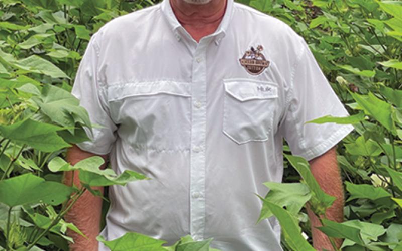 Jerry Hale, a Breaux Bridge resident and former guest of the Rotary Club of Ville Platte, stands in his field of brown cotton. (Photo courtesy of Muse Marketing Group)