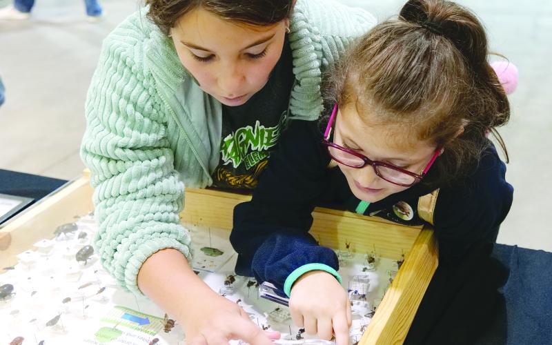 Two students from Chataignier Elementary School use a magnifying lens to examine insects at the LSU AgMagic Cenla event held at the State Evacuation Shelter Nov. 15 and 16. The students toured numerous stations highlighting agriculture, nutrition and health. (Photo by Craig Gautreaux/LSU AgCenter)