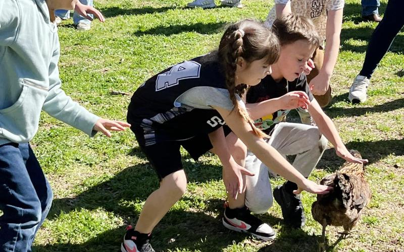 Youngsters are pictured as they participate in the Little Courir Chicken Chase during the inaugural Bastrop, Texas, Mardi Gras celebration in 2024. (Gazette file photo)