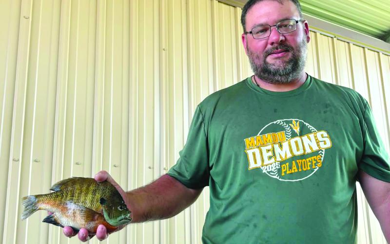 Quentin Miller, of Mamou, is shown with a 1.45-pound bluegill, that he caught at Miller’s Lake on May 14. (Photo courtesy of Quentin Miller)