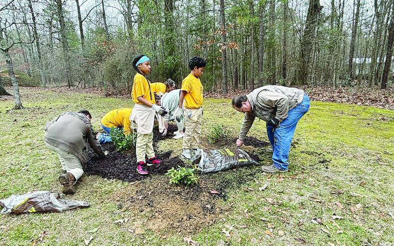 Rotarian Wayne Vidrine (right) assists students from Evangeline Reimagine Academy with planting azaleas at Chicot State Park. (Gazette photo by Heather Bogard)