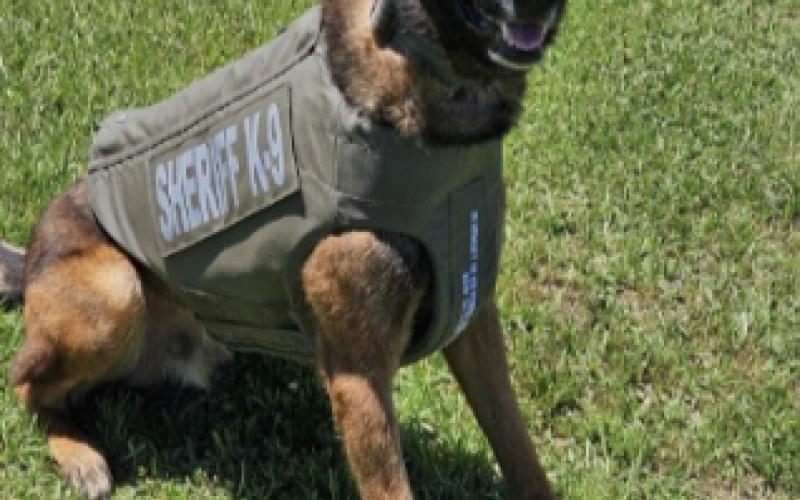 K9 Coup is shown with his newly donated vest. (Photo courtesy of EPSO)