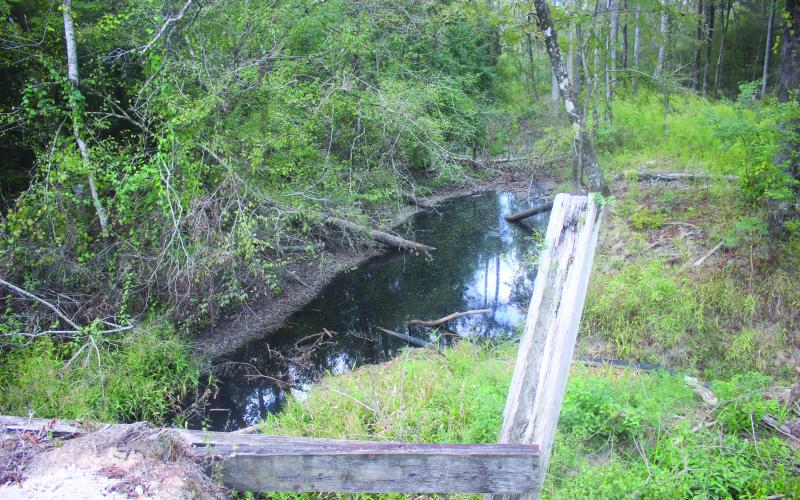 Pictured is the black water flowing through Cypress Creek that is coming from Timberlane Landfill north of Oakdale. The above picture was taken from the Cypress Creek bridge over Leman Road. (Gazette photo by Tony Marks)