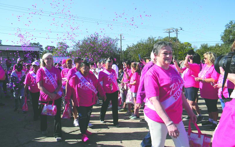 SMC walks for breast cancer awareness
