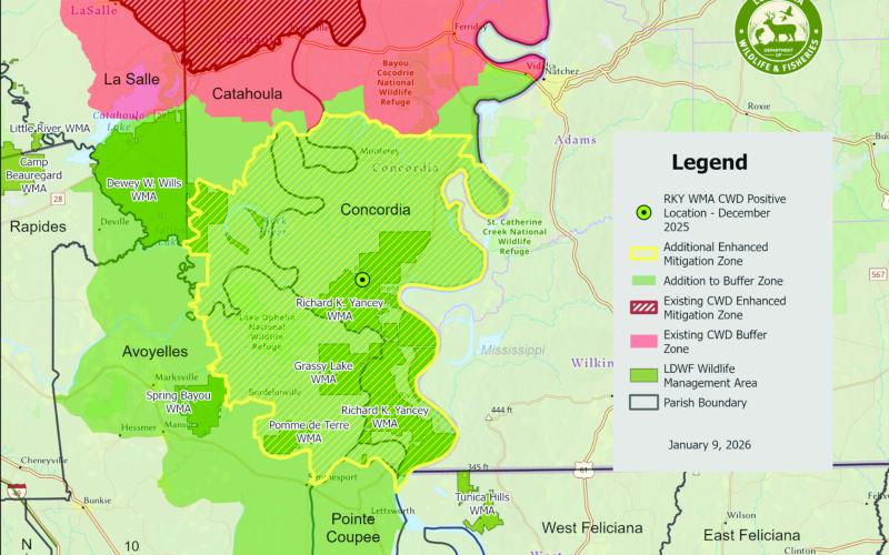 Map of the expansion to the CWD control area for 2026. (Louisiana Department of Wildlife and Fisheries)