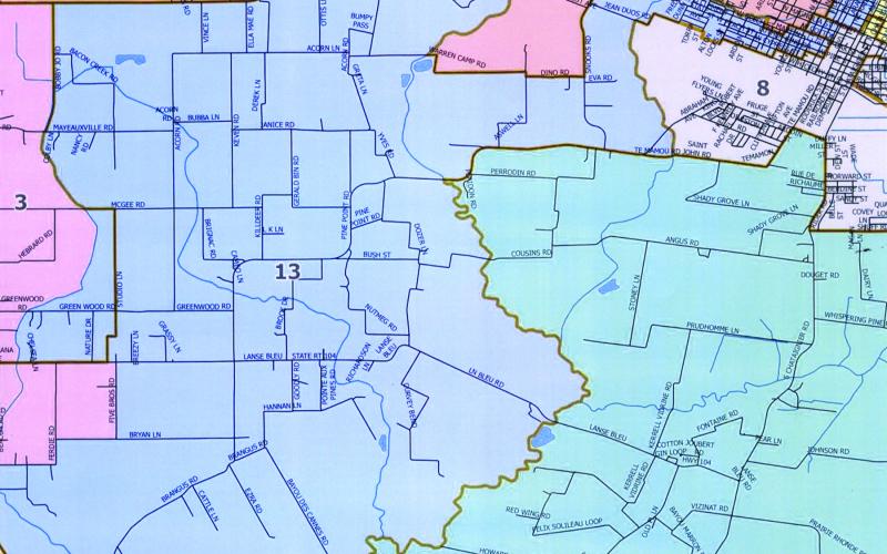 Pictured is the proposed plan for Evangeline Parish School Board District 13 shaded in purple. The complete reapportionment plan will be adopted following a public hearing to be set for a later date. (Map courtesy of Mike Hefner)