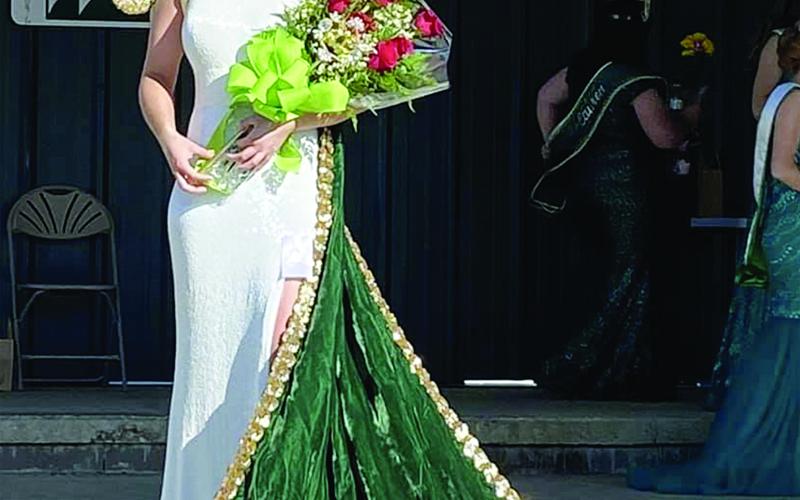 Frog Queen