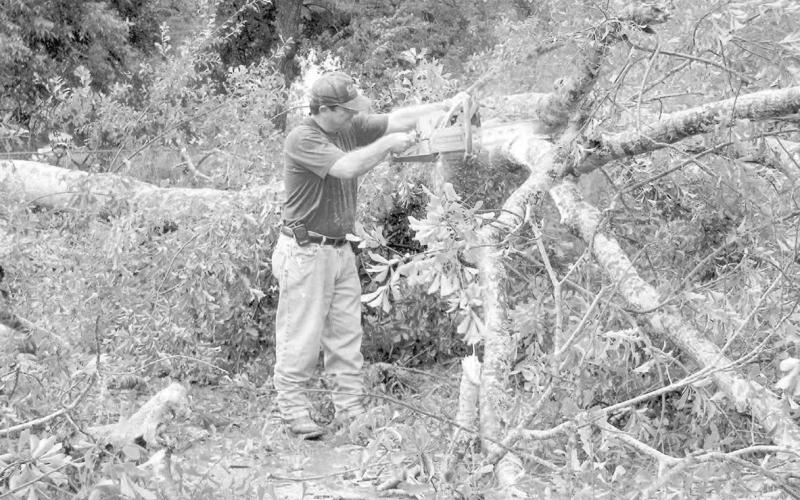 Fire Chief Ted Demourelle begins cutting a fallen tree after the storm passes. (Gazette file photo)