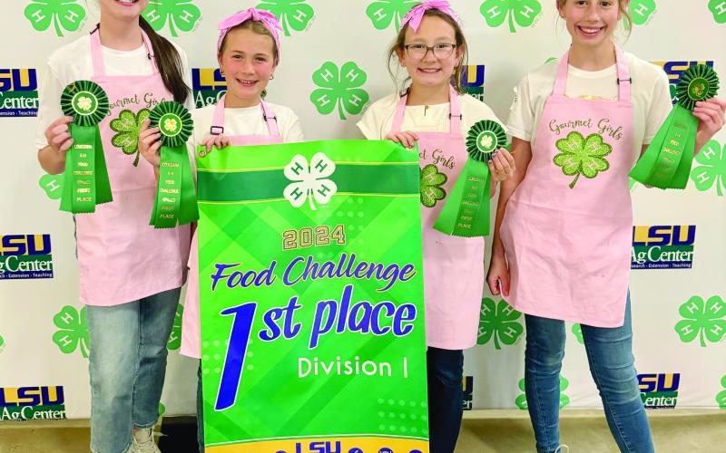 Teams place at Food Challenge