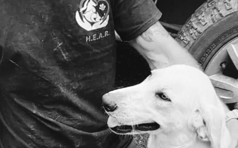 Matt Baker, president of Heroes Everywhere Animal Rescue (HEAR) poses with Tinker, one of the 60 plus rescues left in the Bakers’ care.