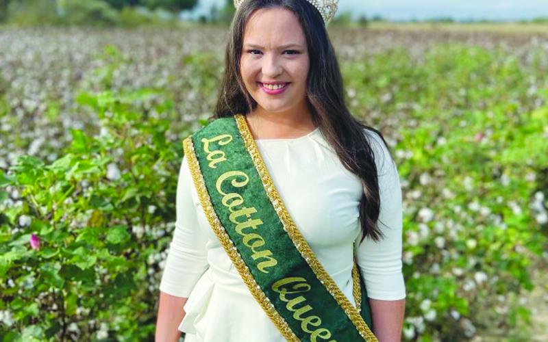 Queen Cotton LXVII Holly Kay