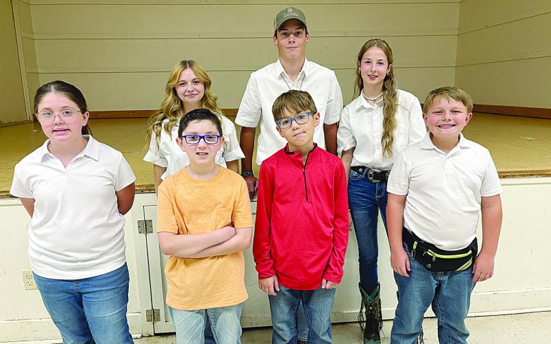 Contradansers keep tradition alive at Cotton Festival