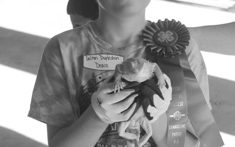 ANY OTHER PETS DIVISION - Dalton Duplechin (BCE) won first place in the most unusual division.