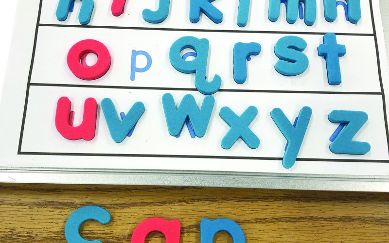 Pictured are several tools which the Evangeline Parish School District are employing to help improve literacy among elementary students in the parish. (Photos submitted by Madelyn Causey)
