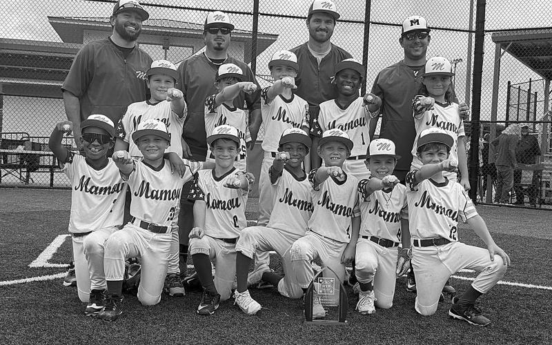 The Mamou DYB 8U All-Stars claimed the district championship on Sunday, June 21, and will now head to the regional tournament in Bossier City. Players are Jarlon Anderson, Callen Landreneau, Eli Briscoe, Darien Dicks, Hunter Mouton, Lane Mayeaux, Rhett Pierrottie, Gannon Watson, Mardi Gaspard, Coy Landreneau, Brenton Doyle, and Dax Guillory.