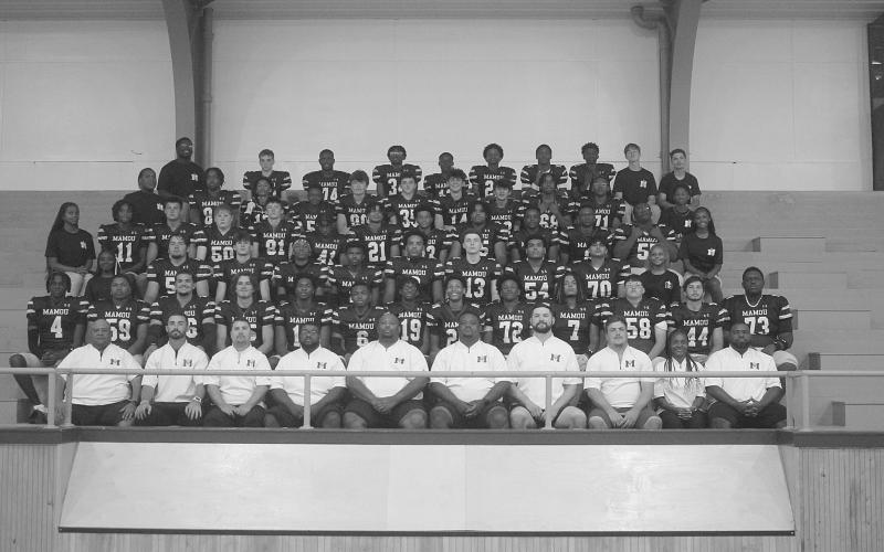 Mamou Green Demons