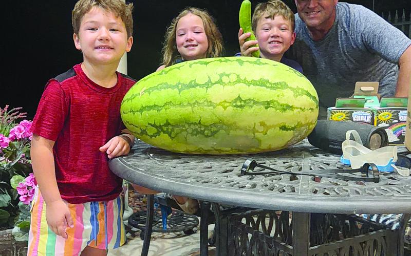 Forty eight-pound watermelon is grown