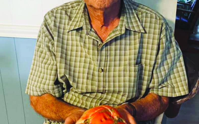 Norbert Vidrine