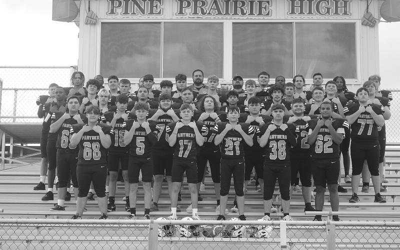 Pine Prairie Panthers