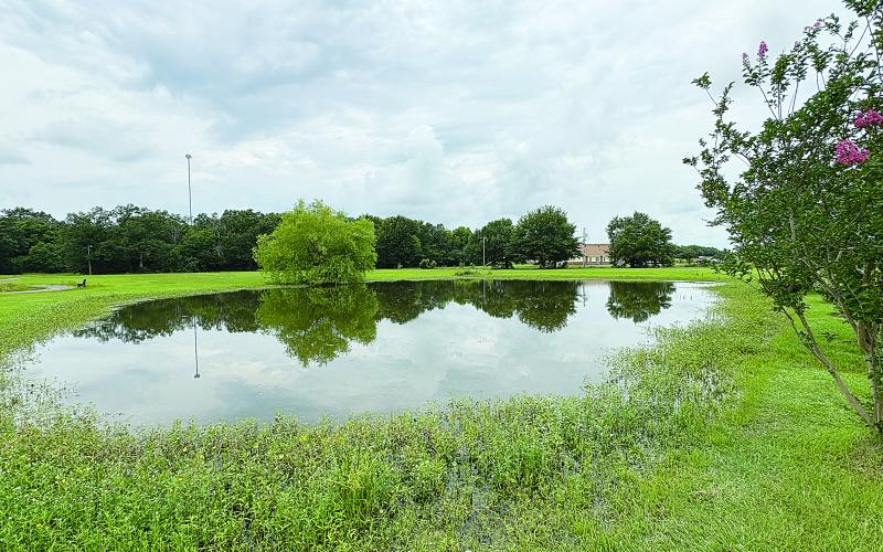 The village pond is pictured in Chataignier. It is located at the village’s walking park and is open to all residents of the village.  (Gazette photo by Tony Marks)