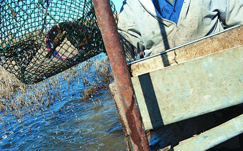 The Fontenot farm runs on a small staff, with most of the fishing done by family members themselves. (LSN photo by Alena Maschke)