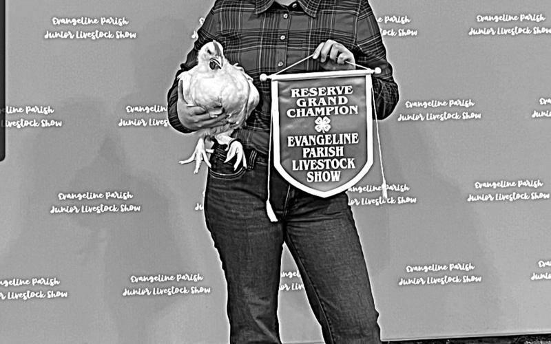 Sittig wins poultry exhibit