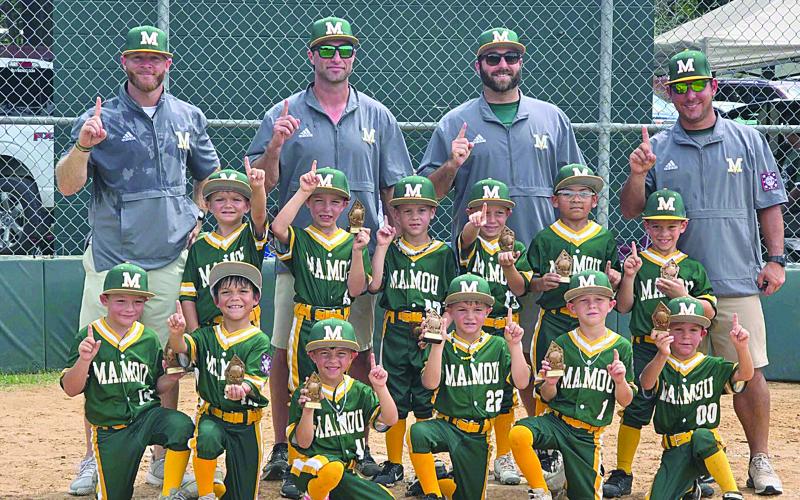 Mamou 6U All-Stars win sub-district tournament