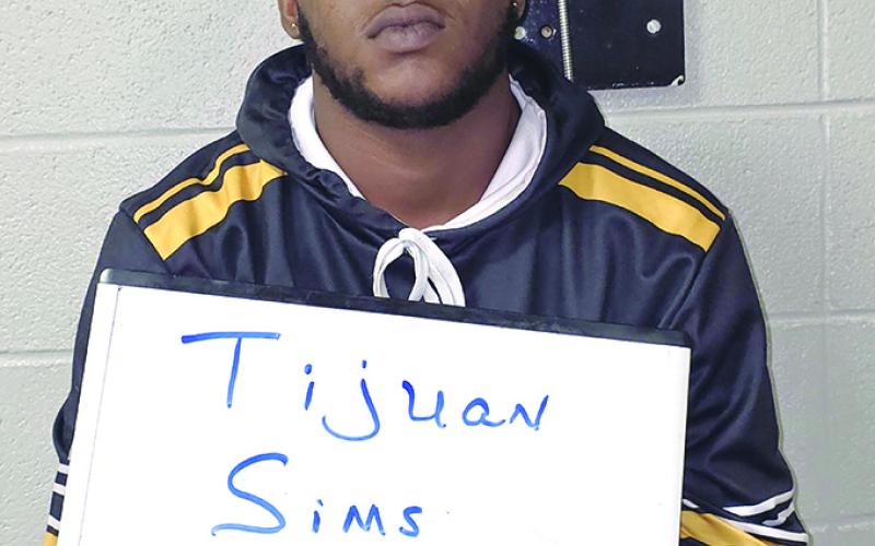 Sims