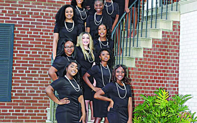 VPHS Court