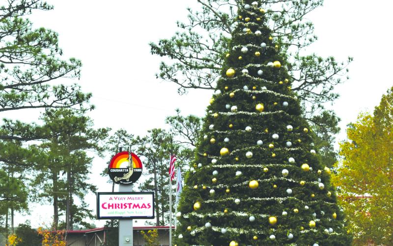 The 31-foot tall Leyland Cypress is decorated for Christmas. (Submitted photo)