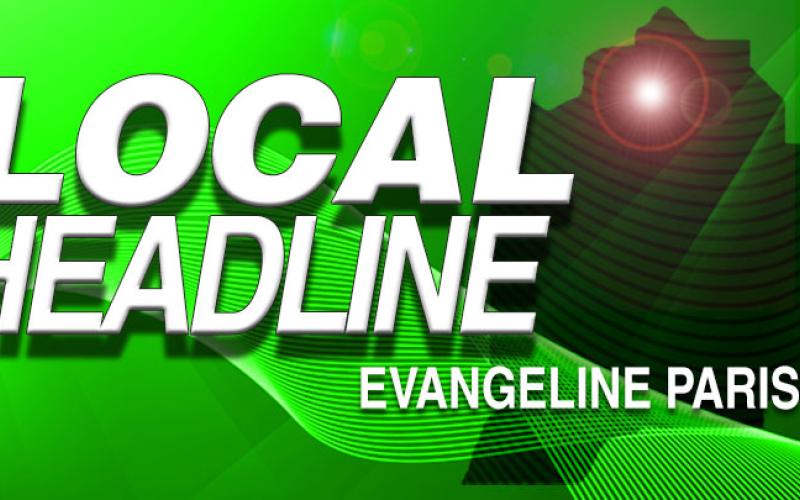 Local Headline