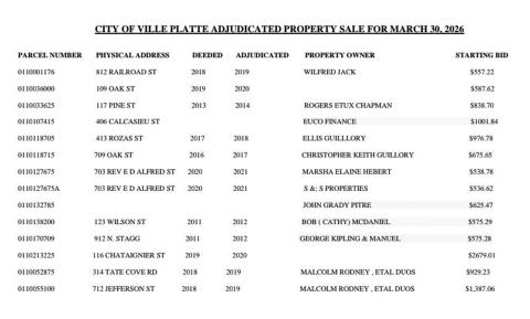 This chart showing the adjudicated properties is courtesy of the City of Ville Platte.