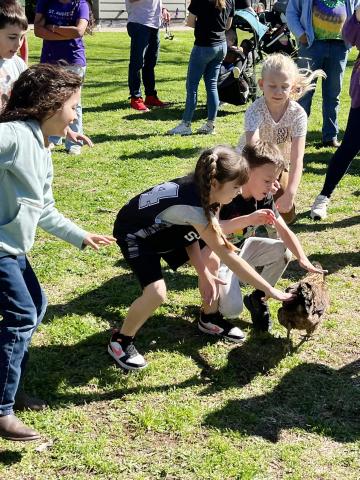 Youngsters are pictured as they participate in the Little Courir Chicken Chase during the inaugural Bastrop, Texas, Mardi Gras celebration in 2024. (Gazette file photo)