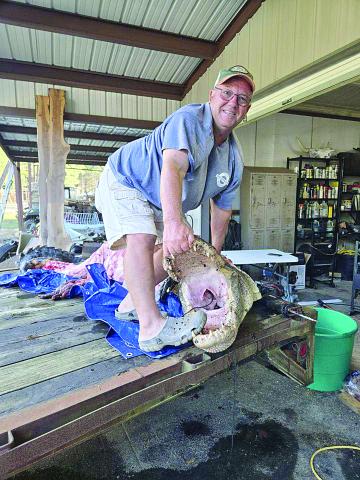 Craig Whittington shows off an alligator that he and Clint Ladner killed on a recent hunting trip. (Photo courtesy of Craig Whittinton)