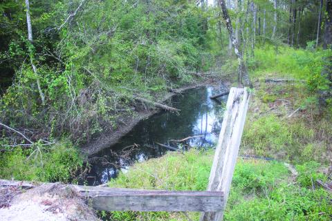 Pictured is the black water flowing through Cypress Creek that is coming from Timberlane Landfill north of Oakdale. The above picture was taken from the Cypress Creek bridge over Leman Road. (Gazette photo by Tony Marks)