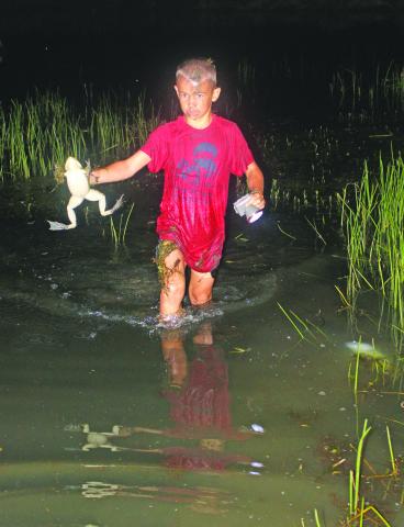 Micheal Vondenstein make his way through a crawfish field, frog in hand, on an opening weekend frog hunting trip. Each year, area farmer and crop duster pilot Kyle Smith hosts an opening weekend frogging trip on his farm. 