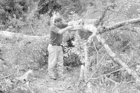 Fire Chief Ted Demourelle begins cutting a fallen tree after the storm passes. (Gazette file photo)