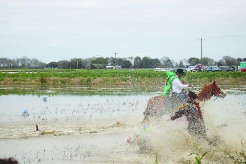Le Courir de Mardi Gras goes through Mamou