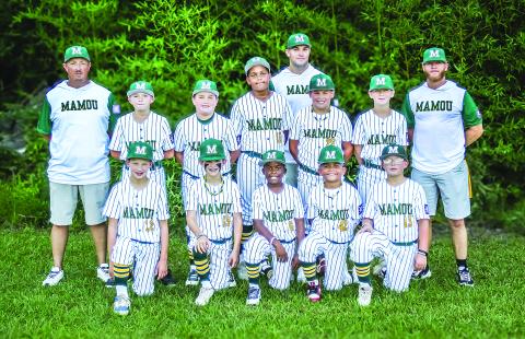 The Mamou Super 10s are the DYB North Regional Runner-Up. Players are Emmett Christ, Maddex Jack, Japheth Spears, Jaxxon Cormier, Paxton Ashford, Ben Ardoin, Karson Courville, Tucker Ardoin, Jax Vidrine, Kalem Fontenot, and Deshaun Compton. (Photo submitted)