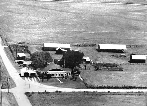 THE OLD MCCLELLAND FARM - This aerial shot of the McClelland Farm in rural Evangeline Parish was taken approximately 50 years ago. The home pictured was the second on site and was sold and moved into the town of Basile years ago. All of the outlying buildings shown have been demolished and replaced, but the oak trees shown (planted in 1922) still stand.