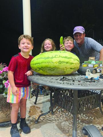 Forty eight-pound watermelon is grown
