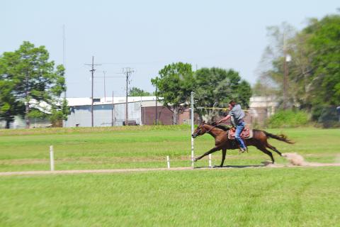 Brandon Snoke is pictured as he attempts to collect a ring during qualifications for the Louisiana Tournoi on Sunday, September 10. (Gazette photo by Tony Marks)